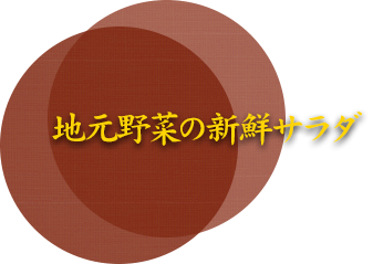 厚狭の春夏秋冬サラダ