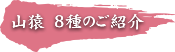 山猿　8種のご紹介　