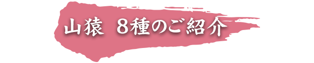 山猿　8種のご紹介